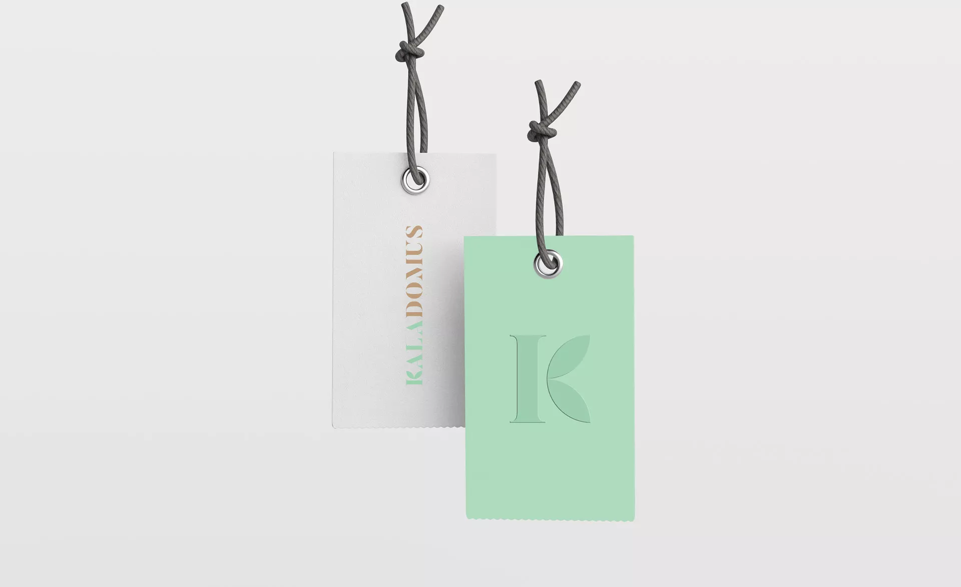 Rebranding Kaladomus Azienda di grafica Perazza Treviso: mockup