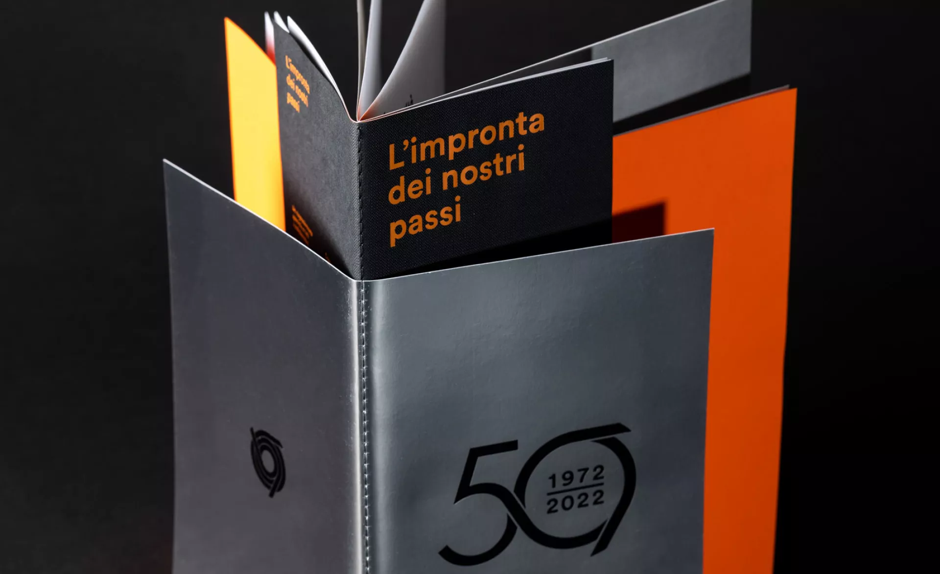 Perazza studio grafico Treviso Monografia Ormet assistenza alla stampa