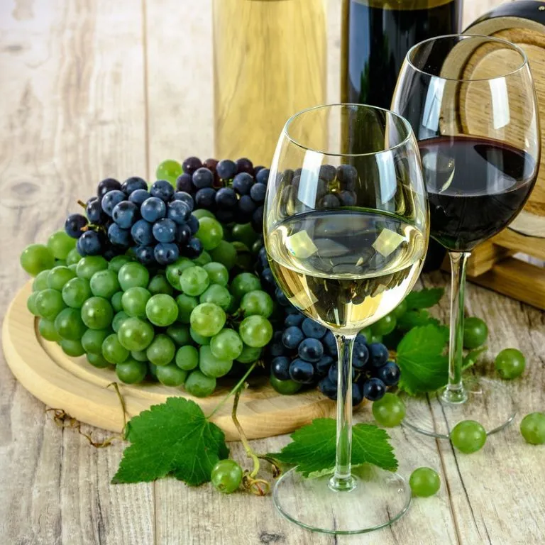 Marketing del vino: una guida completa