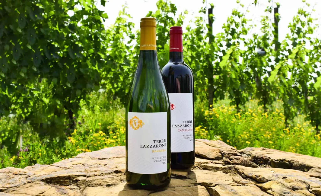 Grafica etichette vino: servizi e casi di studio Perazza srl 4 Studio Perazza Grafica etichette Terre Lazzaroni