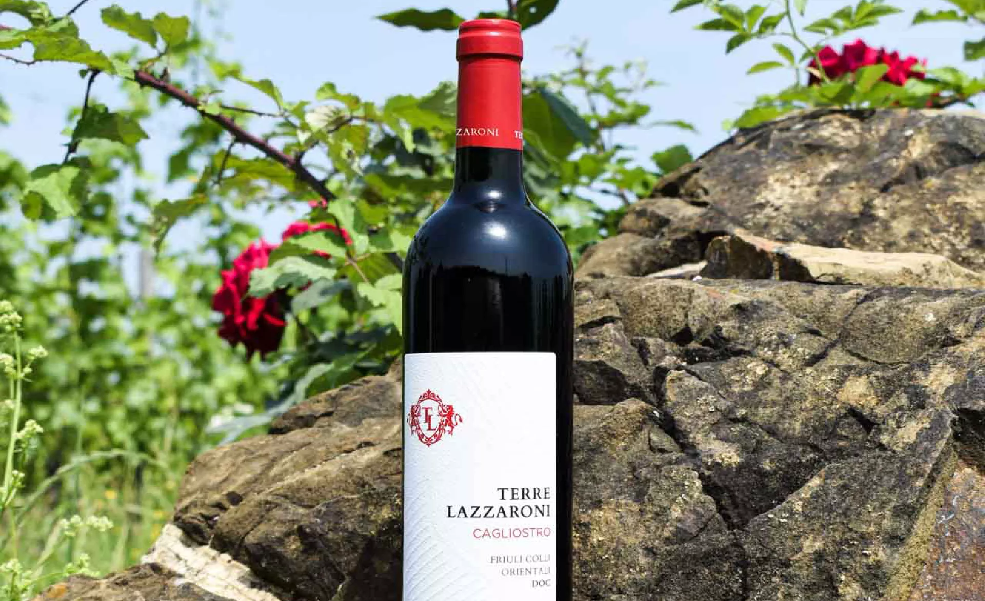 Definizione brand identity e logo terre lazzaroni agenzia grafica Perazza