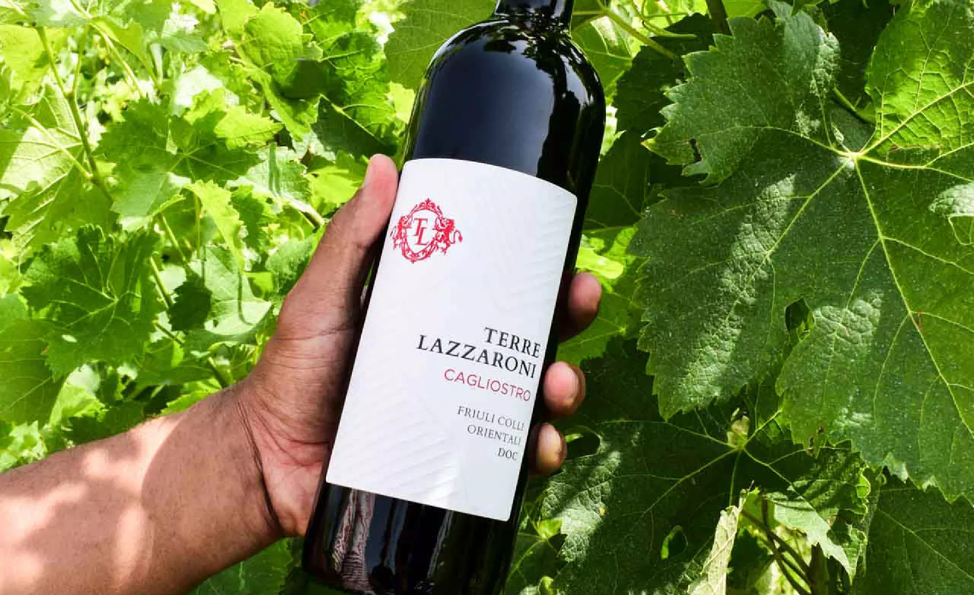 Grafica etichette vino: progetto sviluppato dall'Agenzia di Grafica Perazza per Terre lazzaroni