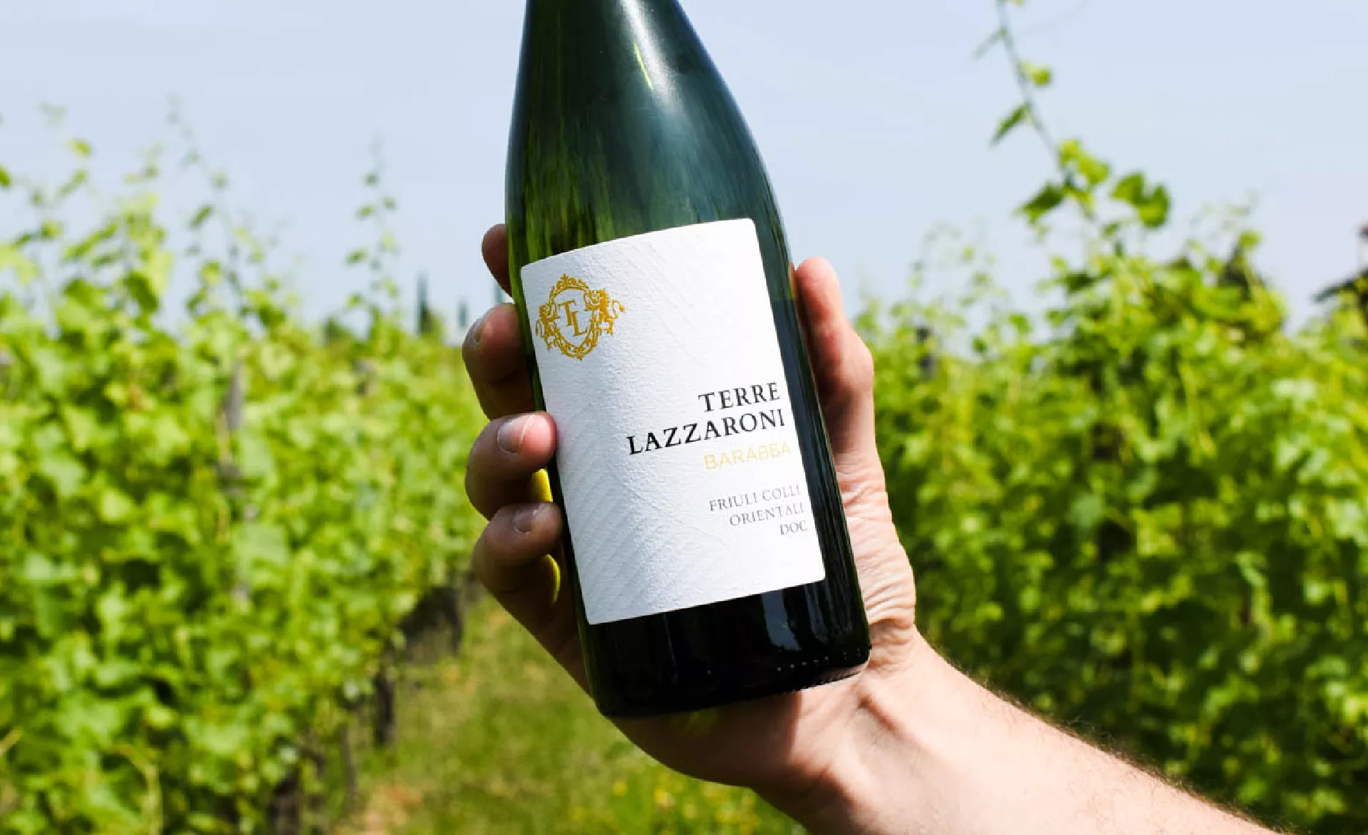 Studio Grafico Perazza Treviso design grafica etichette vino